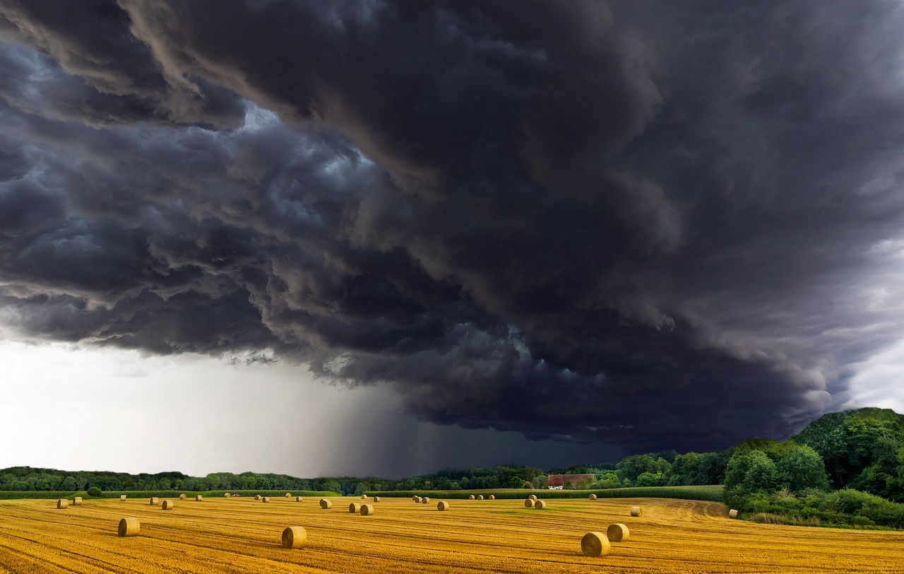 Dunkle Wolken ziehen über einem Feld auf.